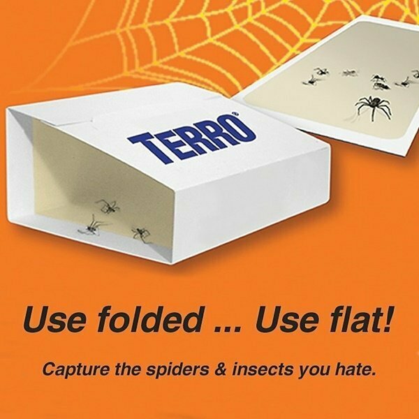 Woodstream Canada Trap SpiderInsect, 4PK T3206CAN